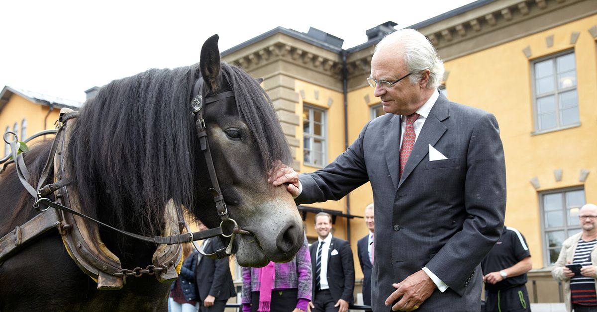 Kungen och hertigen av J&auml;mtland fyller 80 &aring;r