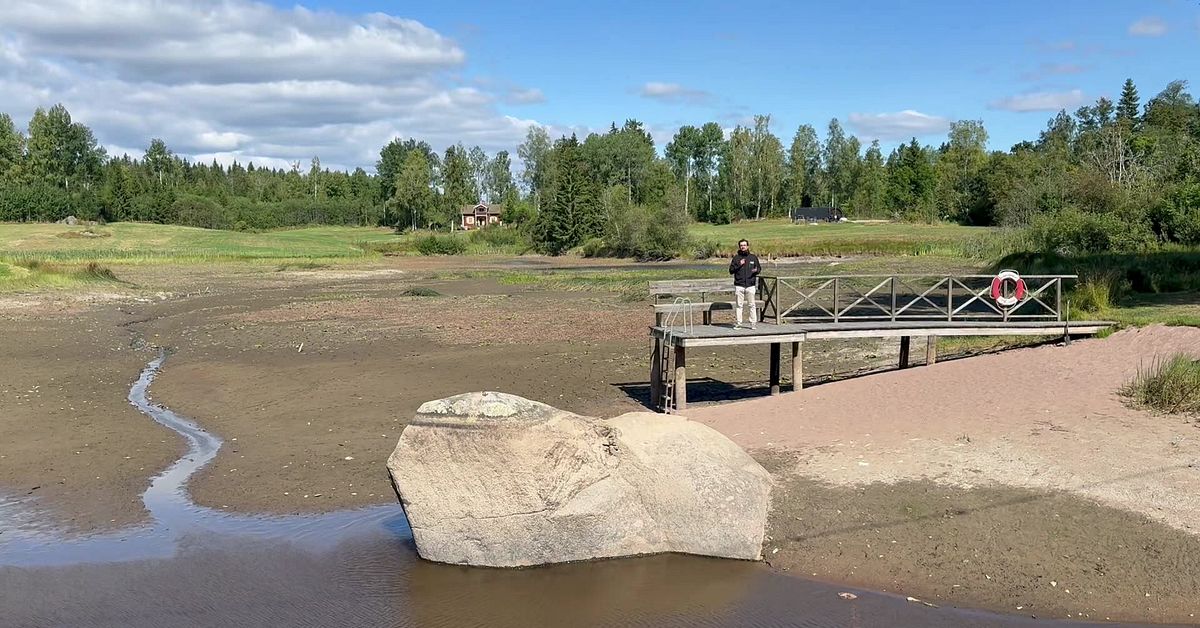 H&auml;r har Svart&aring;n n&auml;stan torkat ut &ndash; bara p&ouml;lar kvar i dammen