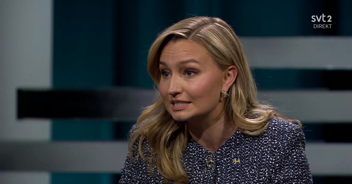Ebba Busch (KD) h&aring;rda ord i br&aring;ket med EU om flaskhalsint&auml;kterna
