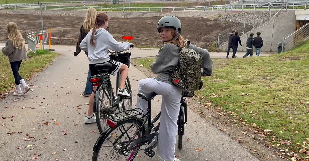 Polisen tog hj&auml;lp av eleverna efter mordf&ouml;rs&ouml;ket: &rdquo;Tog bild p&aring; v&aring;ra mobiler&rdquo;