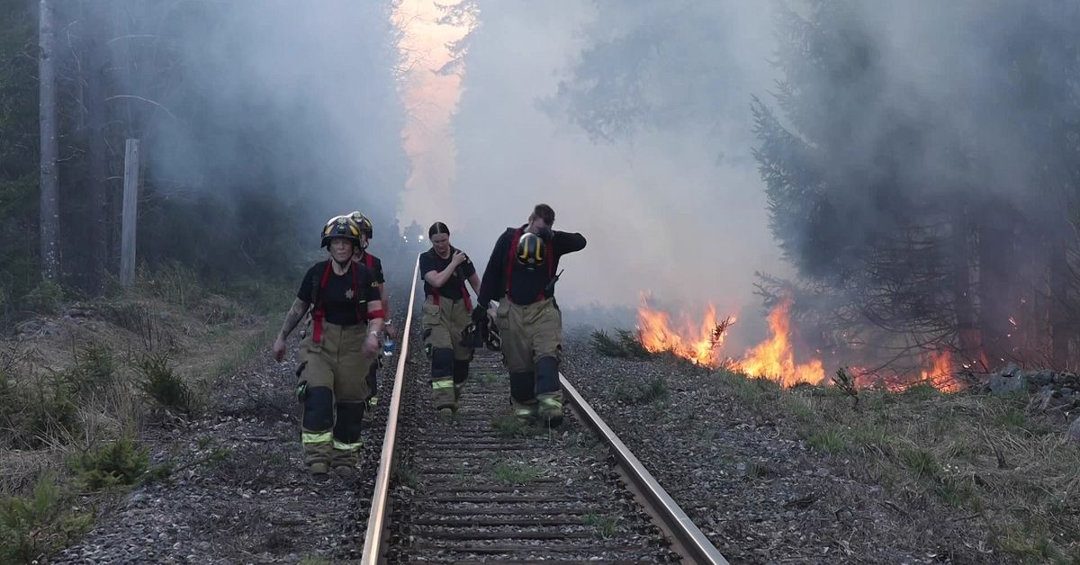 Skogsbrand rasade utanf&ouml;r &Ouml;sterbybruk &ndash; brandh&auml;rdar har vattenbombats