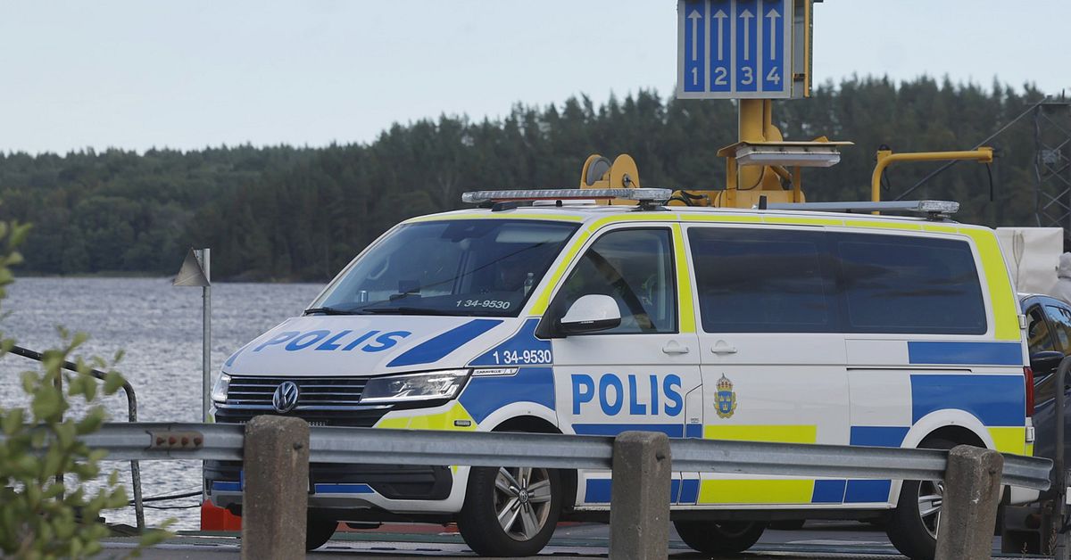 En person gripen efter polisinsats p&aring; Ljuster&ouml;