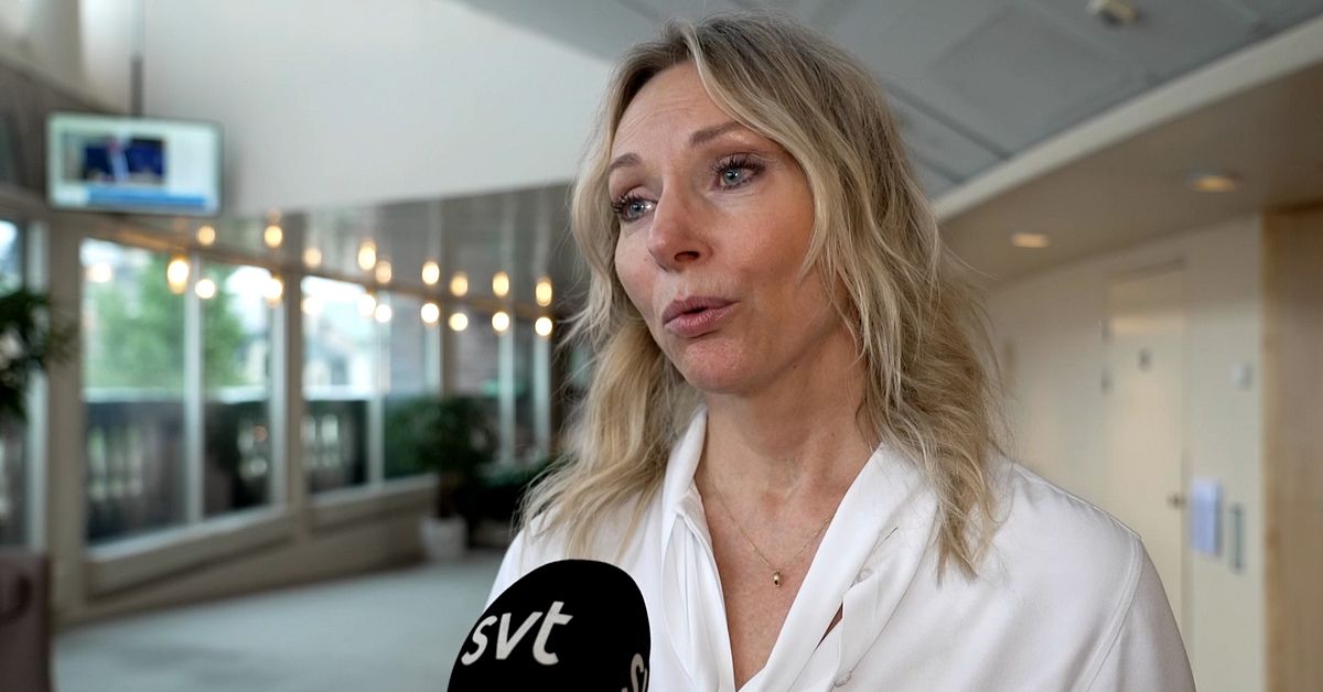 Partierna fortsatt oeniga om ton&aring;rsutvisningar: &rdquo;S&aring; m&aring;nga fr&aring;gor&rdquo;