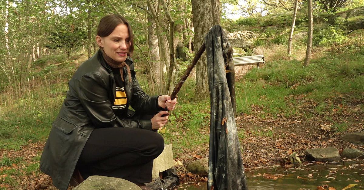 Elever ska elever ha nollats med kattmat och kiss &ndash; trots Polhemsgymnasiets stopp