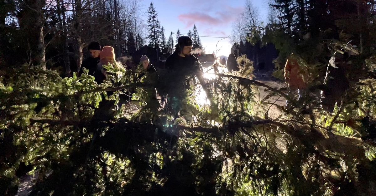 Här hjälps de åt – röjer vägen efter nedfallna träd – Stormen Johannes ...