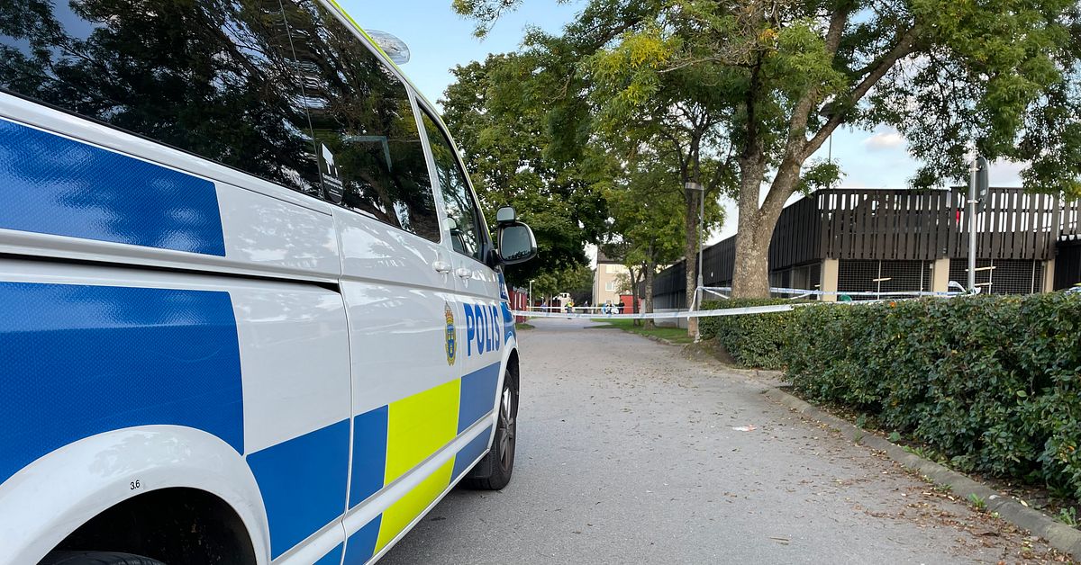 Stor polisinsats i Linköping – skottlossning utreds