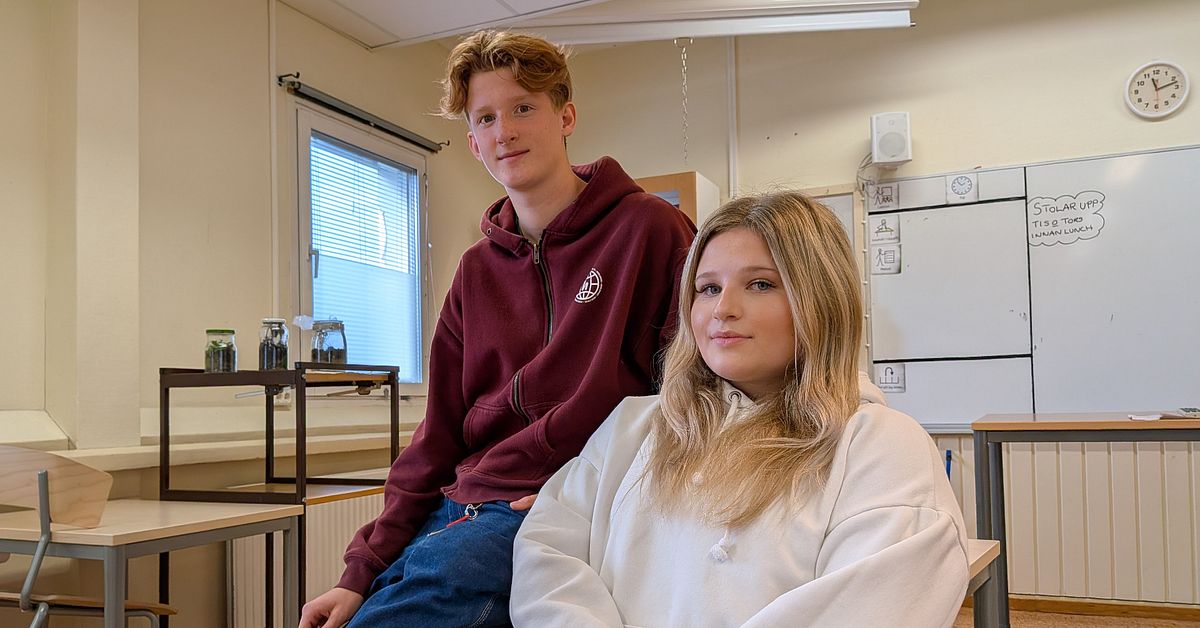 Trenden: Elevers engelska f&ouml;rb&auml;ttras &ndash; l&auml;rare i Mal&aring;: &rdquo;Blivit engelsktalande&rdquo;