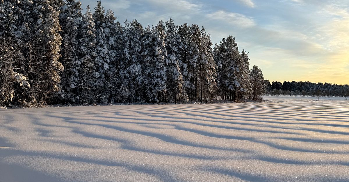 Tittarbilder december 2024 – skicka din bild till SVT Väder | SVT Nyheter