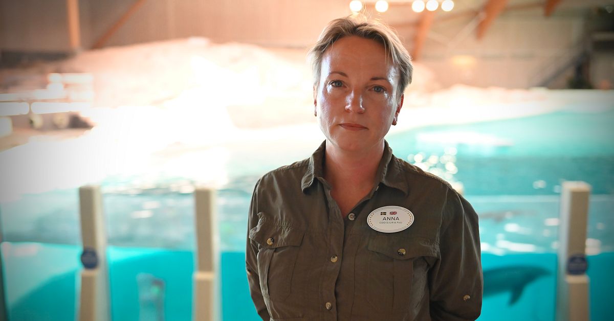 Efter kritiken mot delfinariet &ndash; vill fortfarande inte ber&auml;tta om bristerna