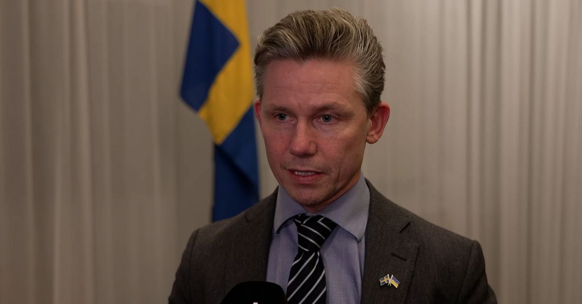 Beslutet: JEF ska patrullera Östersjön med 20-tal fartyg | SVT Nyheter