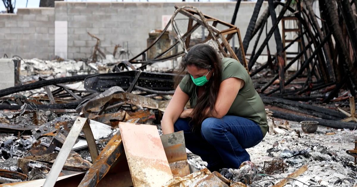 Victims after fire in Lahaina, Hawaii, were evicted from hotel rooms – for the sake of tourists