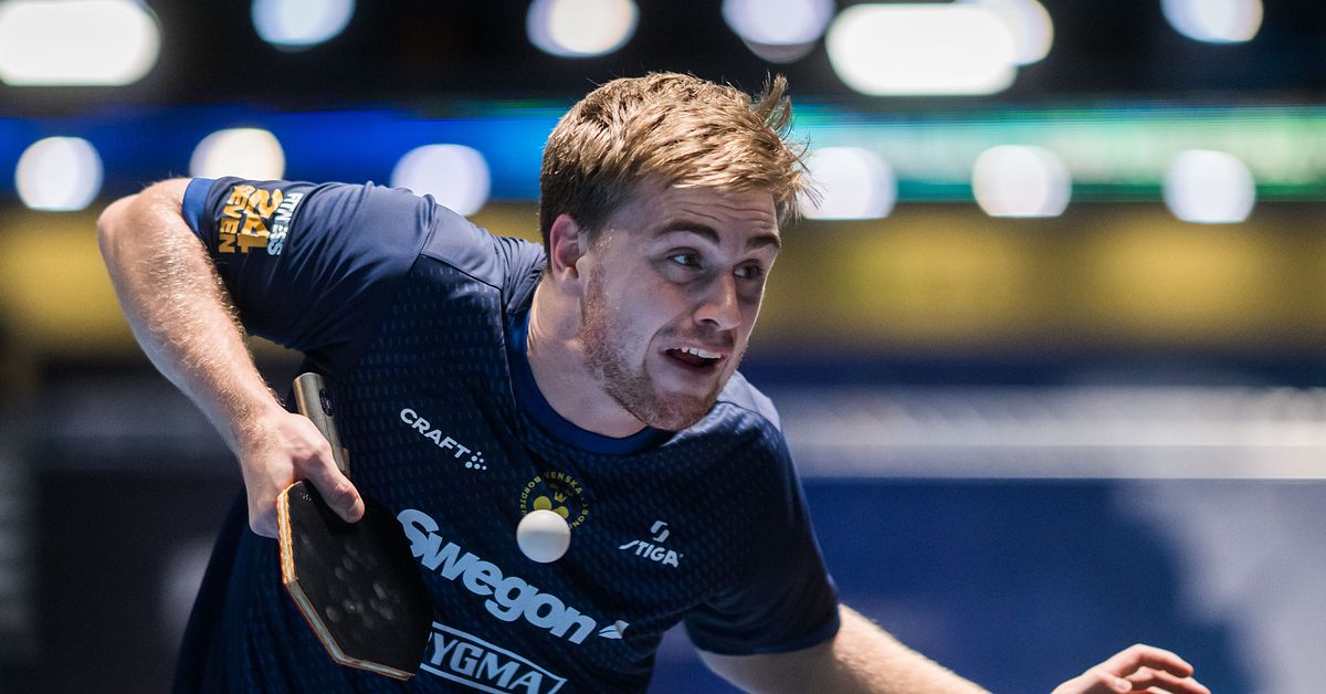 Totaldominant Truls M&ouml;reg&aring;rdh vidare p&aring; EM: &rdquo;Det &auml;r utklassning&rdquo;