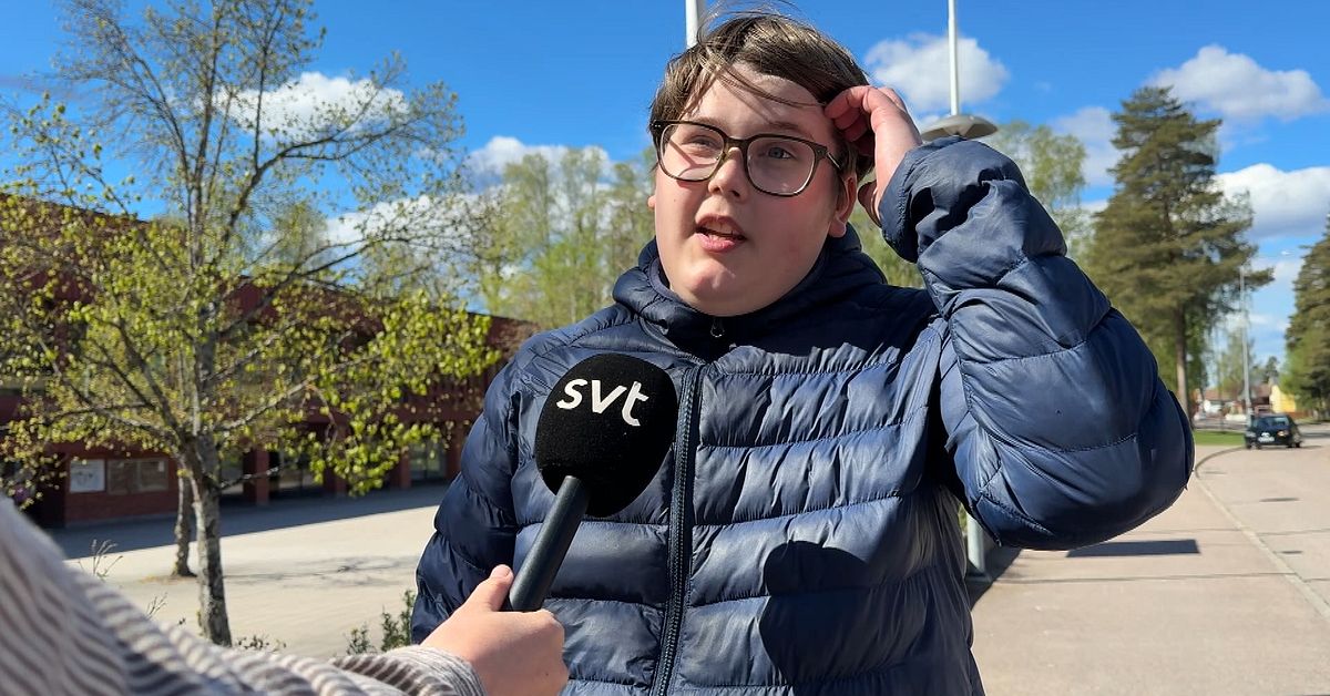 Leksaksvapen orsakade polisinsats i Avesta &ndash; skolor inrymdes