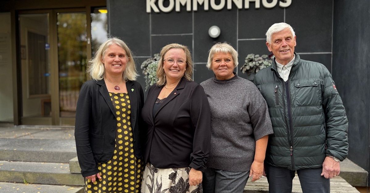 Vilde blir avg&ouml;rande &ndash; br&auml;cklig majoritet i Hallstahammar