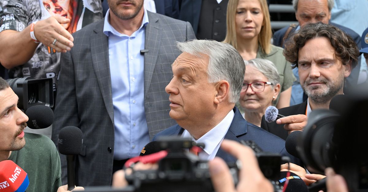 Viktor Orb&aacute;n &aring;tervald som partiledare f&ouml;r Fidesz