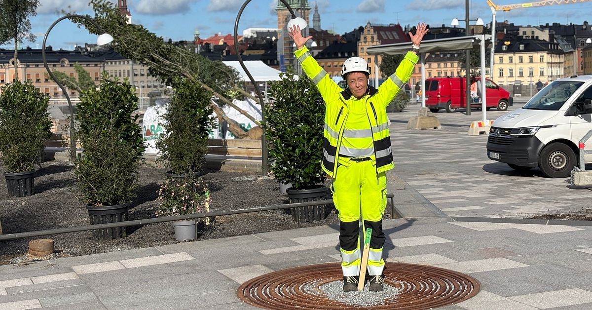 Stenterrassen Södermalmstorg får träd, buskar och lökar