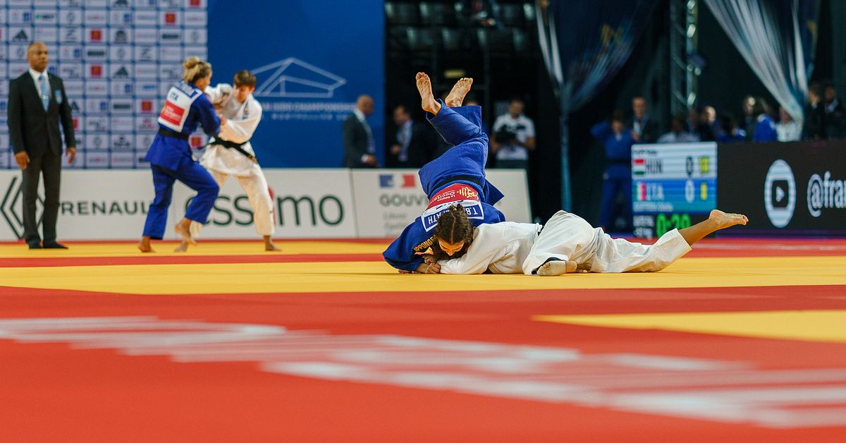 Tara Babulfath tog svenskt judobrons i VM – första på 38 år – inkvalad till OS