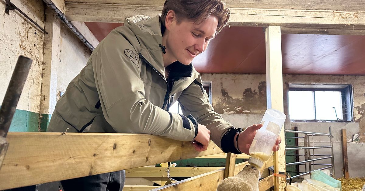 Allt fler f&aring;rb&ouml;nder i landet &ndash; Harry, 20: &rdquo;Efterfr&aring;gan st&ouml;rre&rdquo;