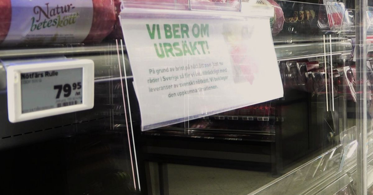 K&ouml;tthyllorna gapar tomma &ndash; ny vardag i Norrbotten