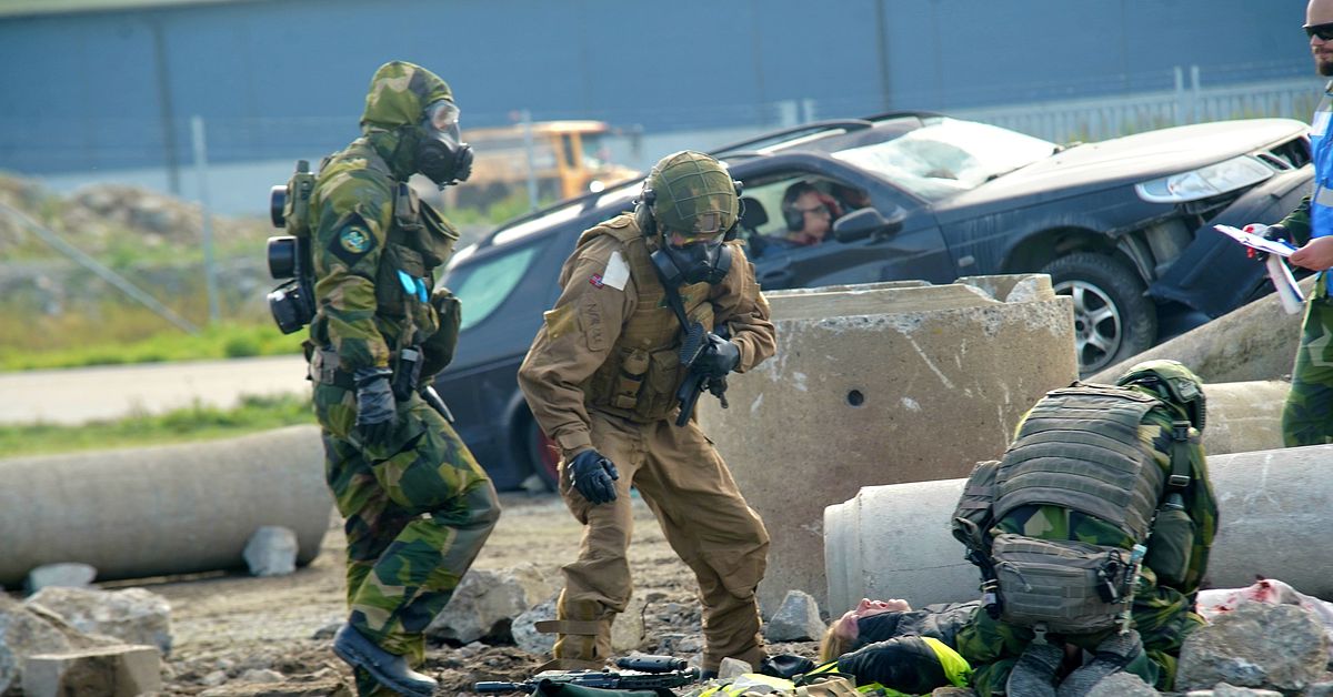 Här övar nordiska styrkor inför attack i Umeå hamn – 200 militärer på plats