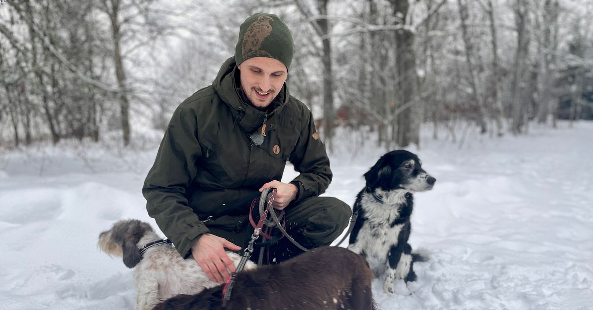 D&auml;rf&ouml;r ska du inte sl&auml;ppa din hund l&ouml;s i skogen nu