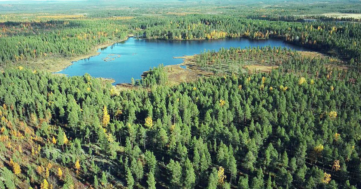 Amnesty: ”Talgagruvan hotar samiska rättigheter”