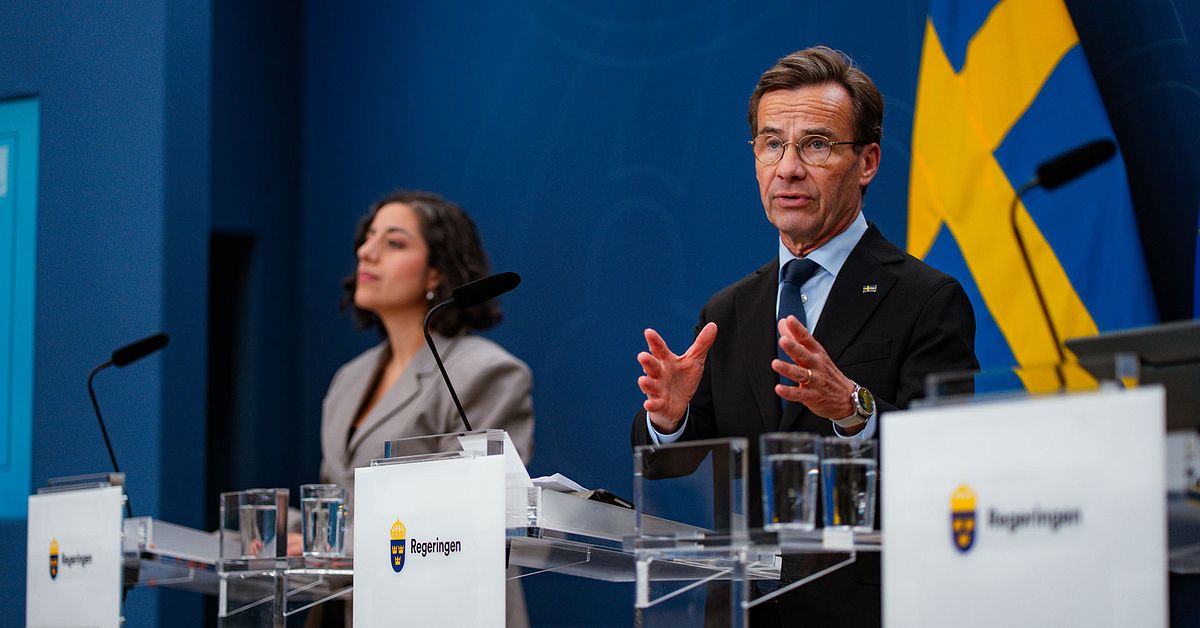 Tidöpartierna föreslår tillfälligt sänkt matmoms