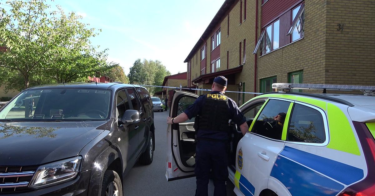 Enbent kvinna sk&ouml;ts av polisen &ndash; d&ouml;ms sj&auml;lv f&ouml;r hot