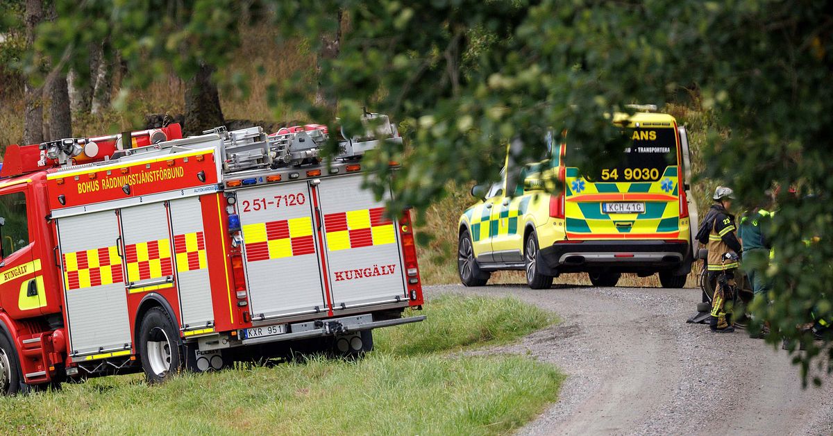 Man d&ouml;d i Skepplanda &ndash; f&ouml;ll av gr&auml;sklippare