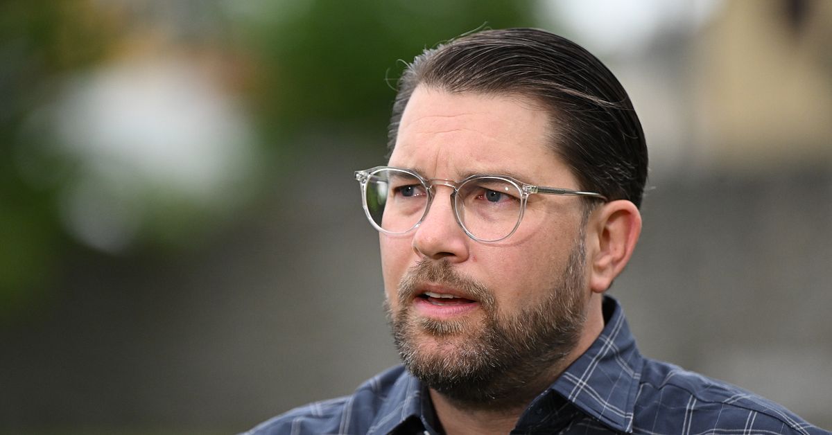 Experterna om Åkessons kritik mot regeringen: Taktik inför valet