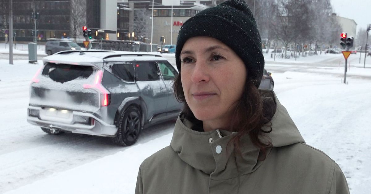 Milj&ouml;partiet i Skellefte&aring;: Arrangera ett medborgarr&aring;d om klimatet