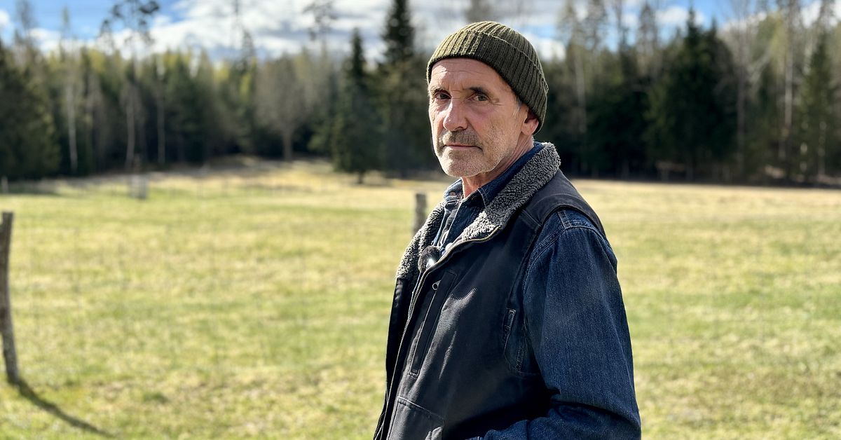 Protesterna f&ouml;rg&auml;ves &ndash; Sven fick kraftledningen som granne