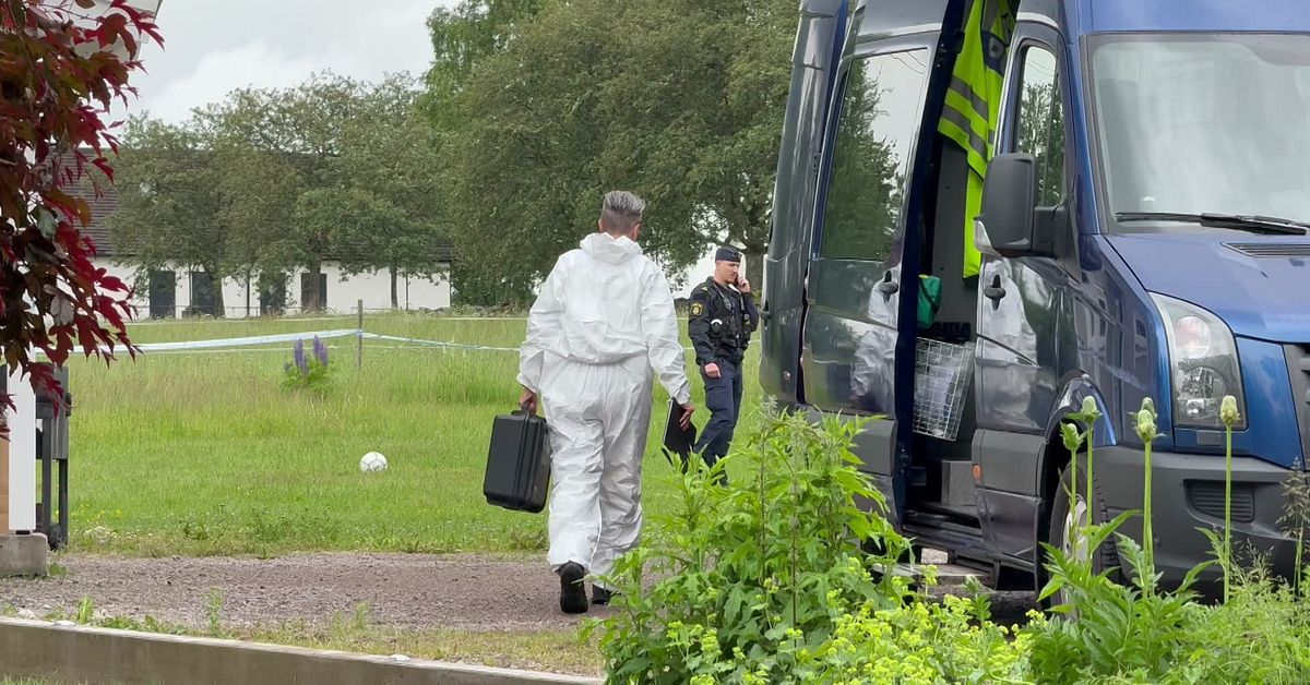Uppgifter: Mamman varnade socialtj&auml;nsten dagar f&ouml;re mordf&ouml;rs&ouml;ket i Alvesta
