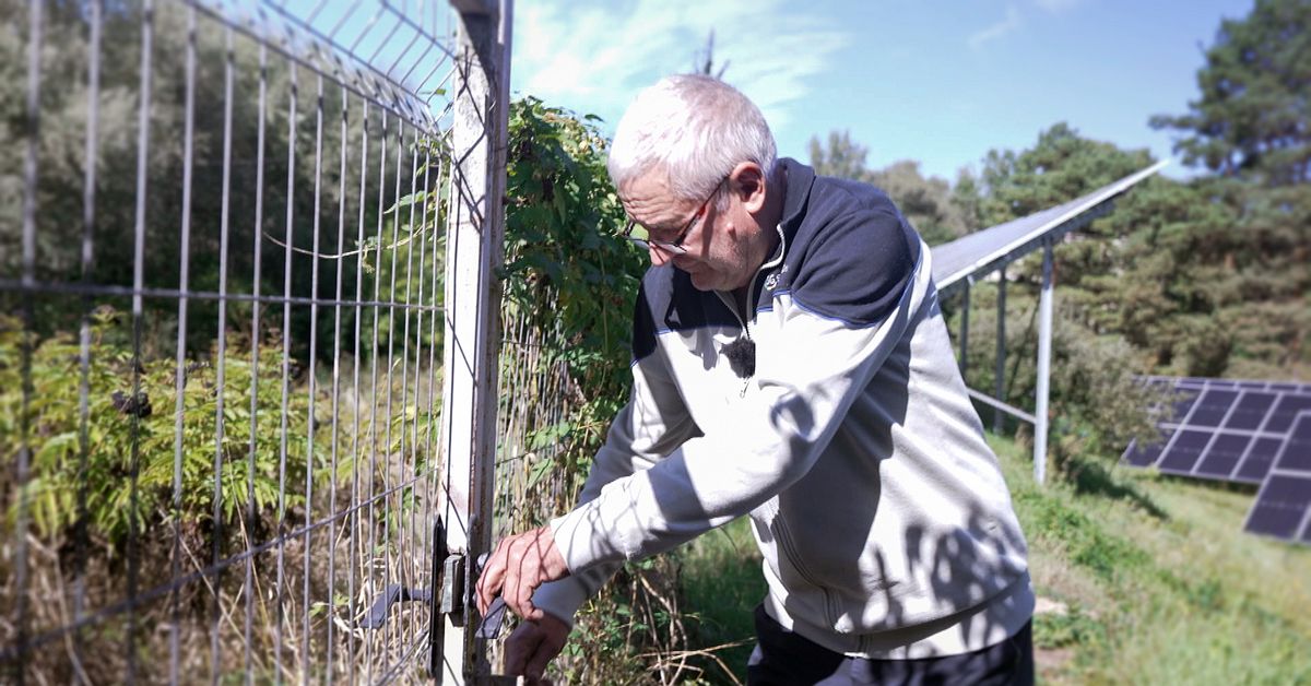 Moldaviens vägval: EU eller rysk gråzon: ”Viktigast att bryta sig loss från ryssarna”