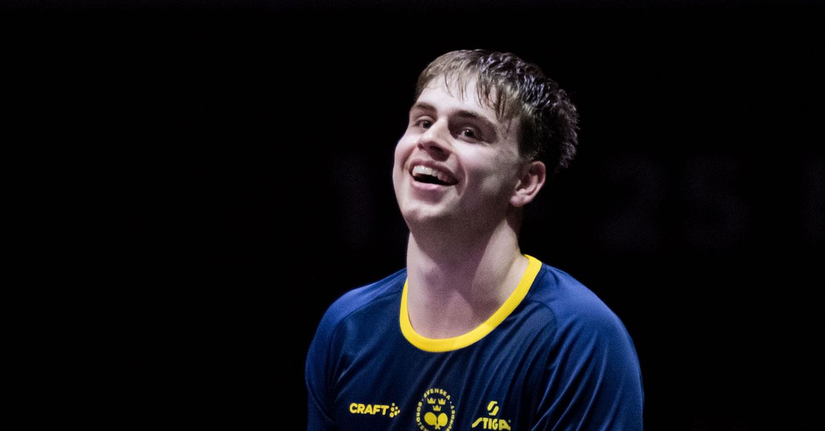 Truls Möregårdh om Janne Andersson: ”Tror vi kommer passa bra”