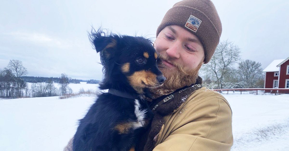 Hunden Lotka f&ouml;rsvann p&aring; ny&aring;rsafton &ndash; nu har hon hittat hem igen