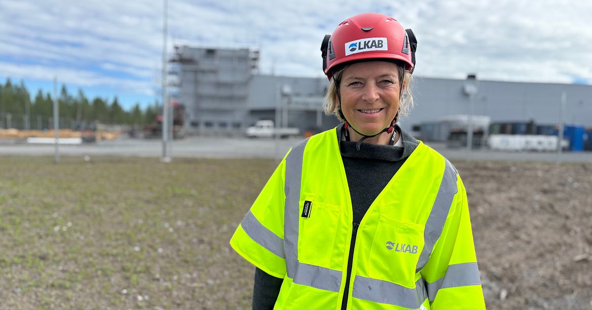 LKAB f&aring;r tillst&aring;nd till en ny industripark f&ouml;r kritiska mineraler i Lule&aring;