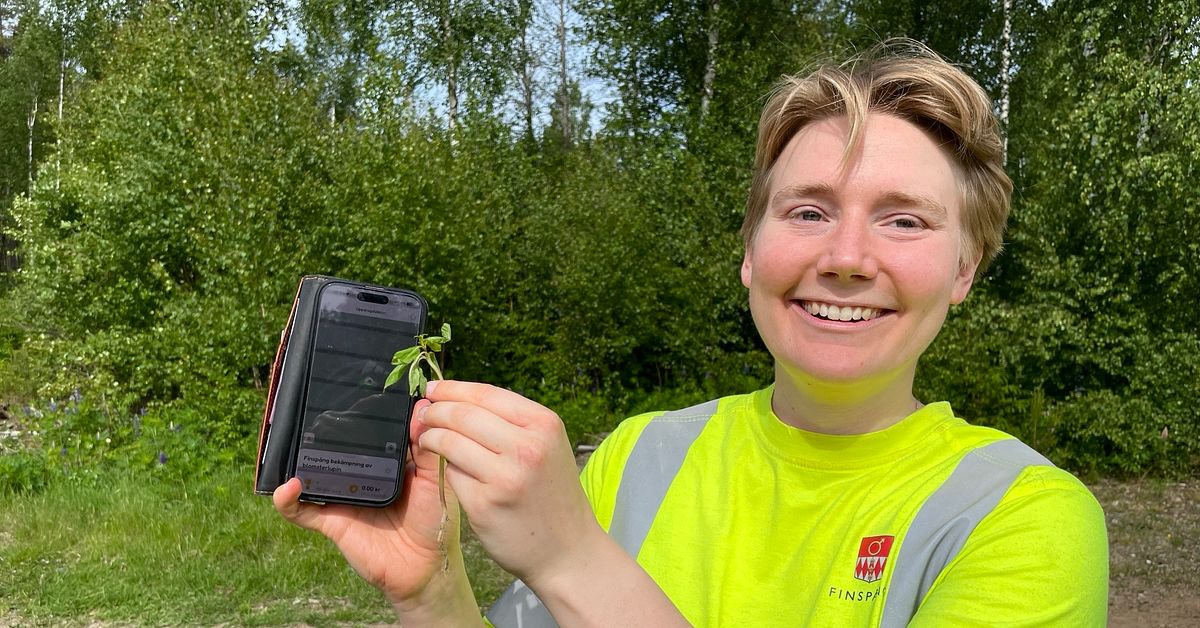 Invasiva arter kan ge klirr i kassan via mobilspel
