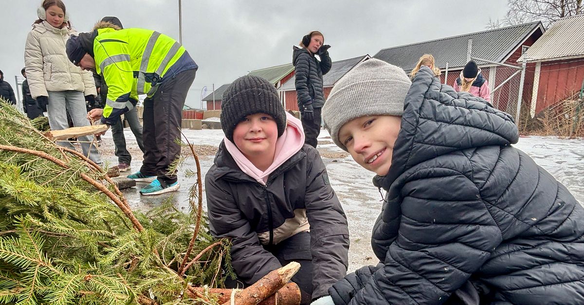 &Aring;terbrukade julgranar i Oxel&ouml;sund ska bidra till mer fisk i &Ouml;stersj&ouml;n