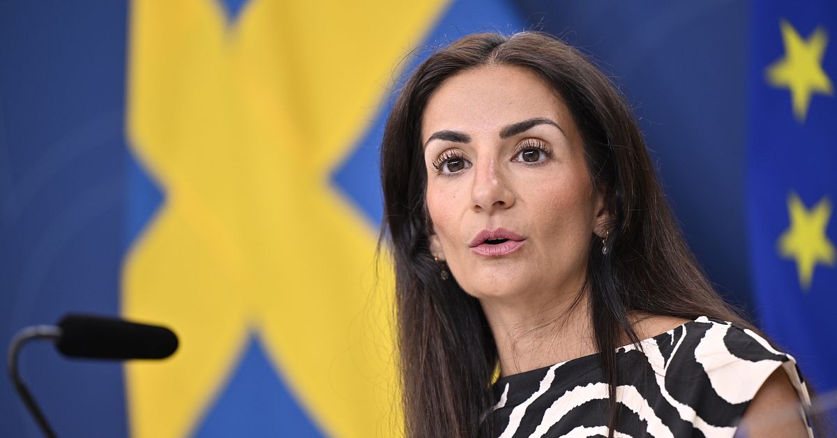 Ny filmpolitik presenteras &ndash; ingen &rdquo;streamingskatt&rdquo;