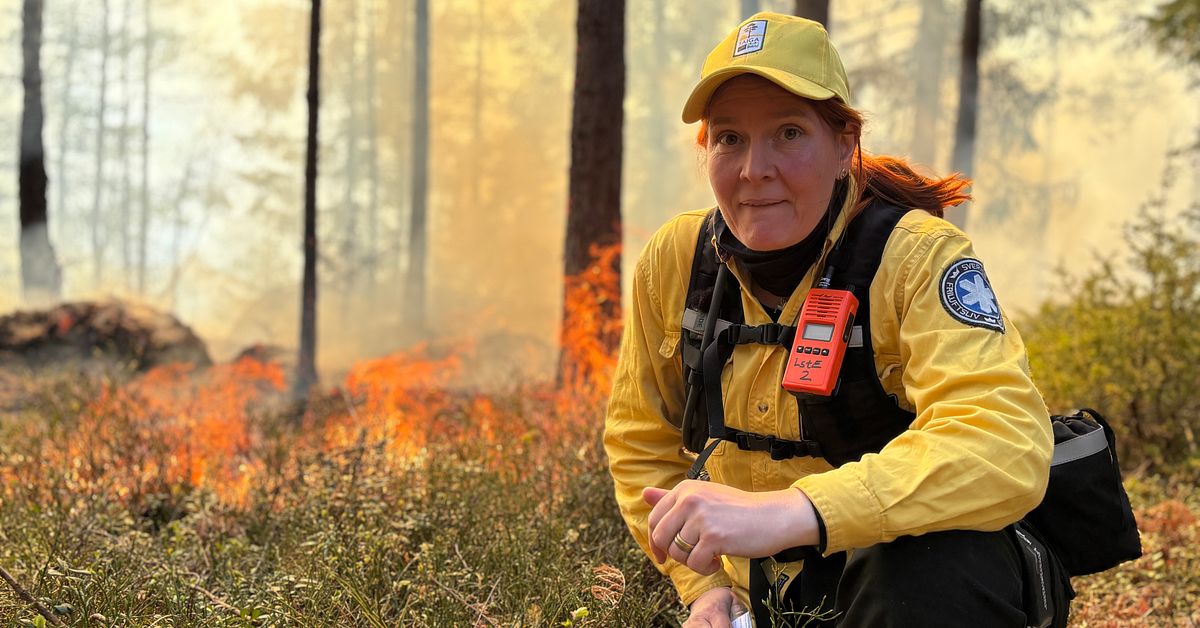 H&auml;r s&auml;tter de eld p&aring; skogen &ndash; f&ouml;r att gynna milj&ouml;n