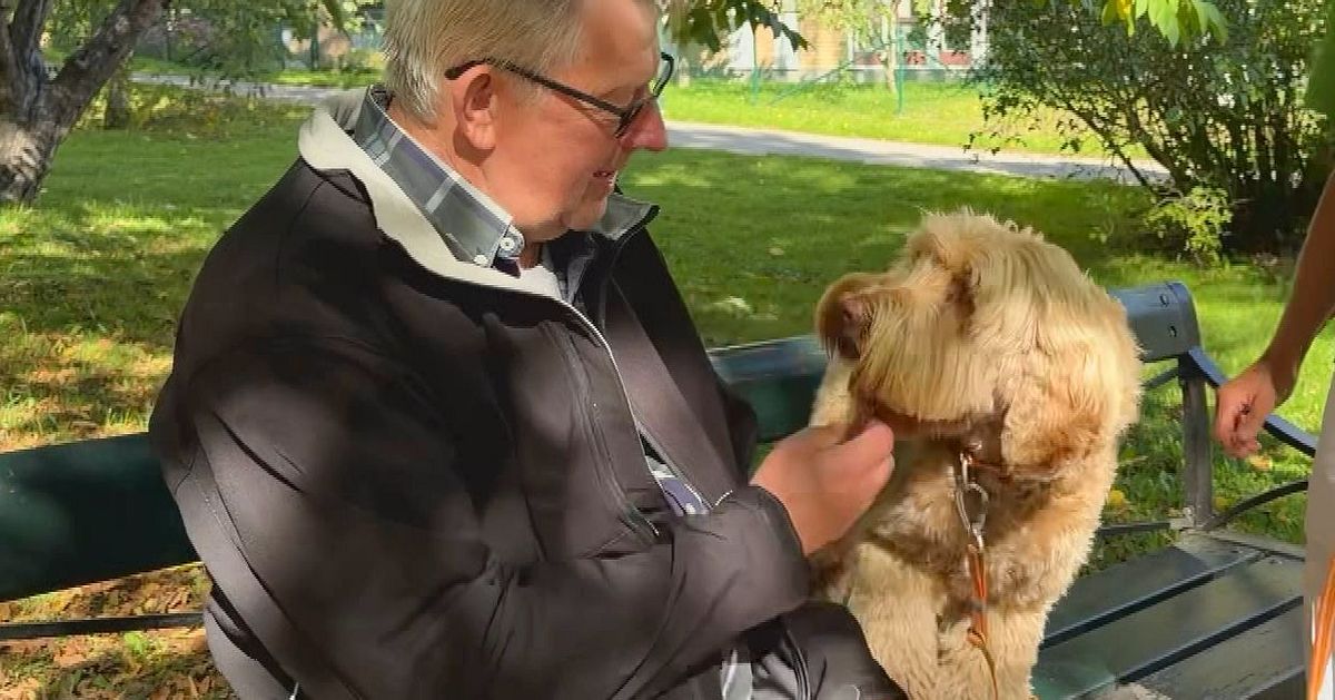 V&aring;rdhunden Astrid fr&aring;n Mariefred hj&auml;lpte Bj&ouml;rn  genom sorgen