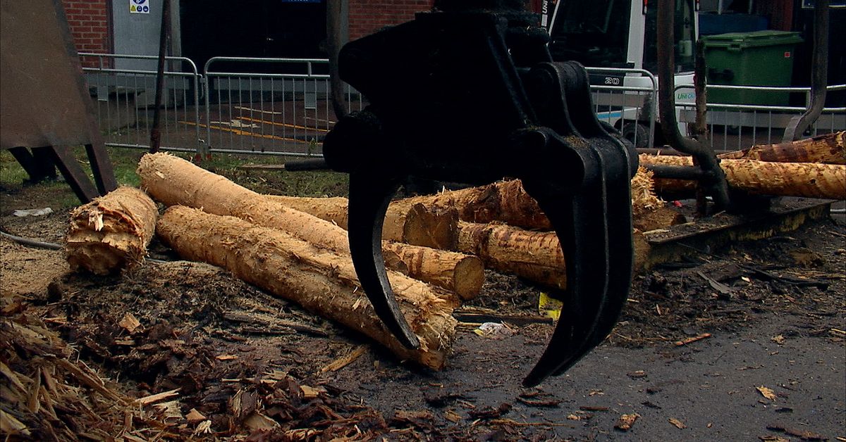 S&aring;gverket i V&auml;rmland st&aring;r stilla p&aring; grund av tidig tj&auml;llossning: &rdquo;V&auml;ntar p&aring; vinter&rdquo;