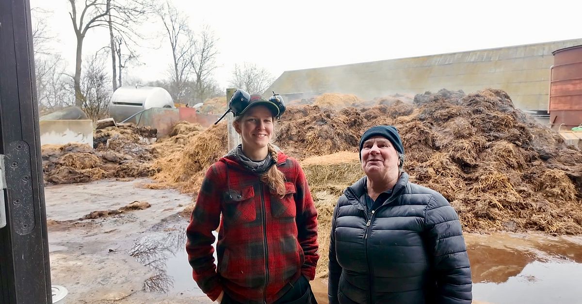 Eko-b&ouml;nder drabbas mindre av krisen &ndash; hoppas fler st&auml;ller om f&ouml;r beredskapens skull