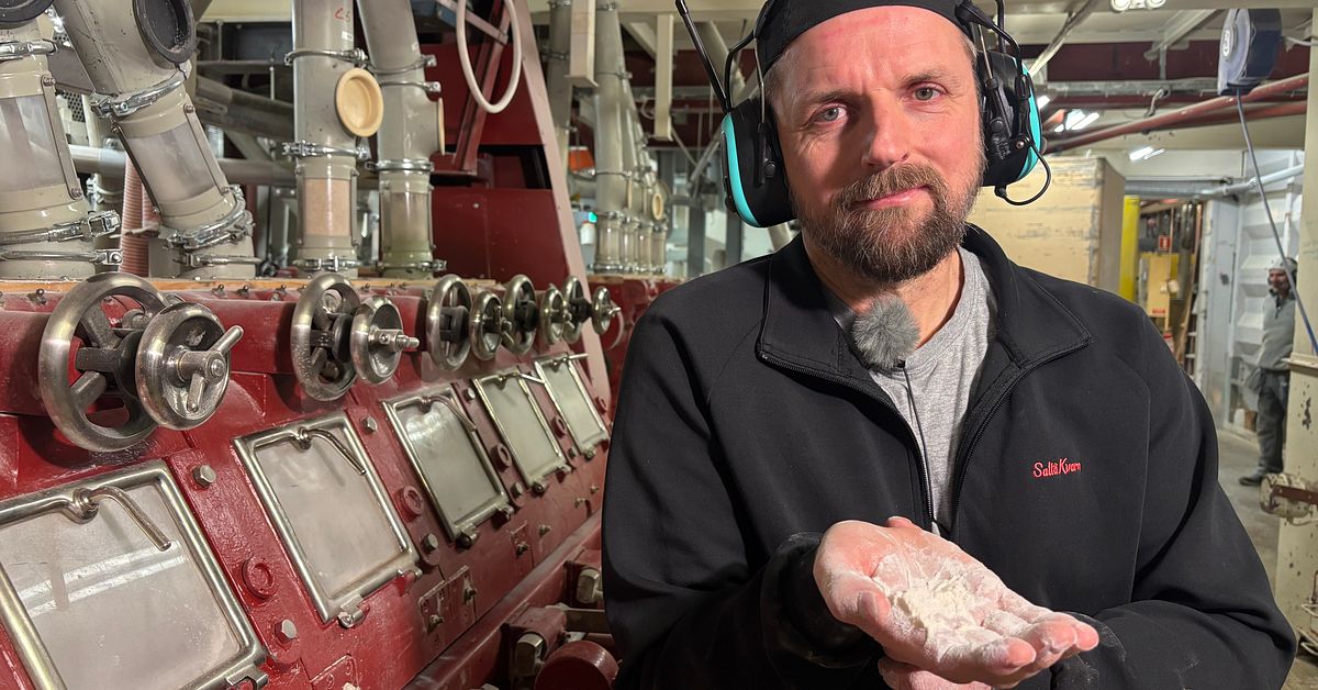 Ekologiskt allt popul&auml;rare i v&auml;rlden &ndash; men inte i Sverige