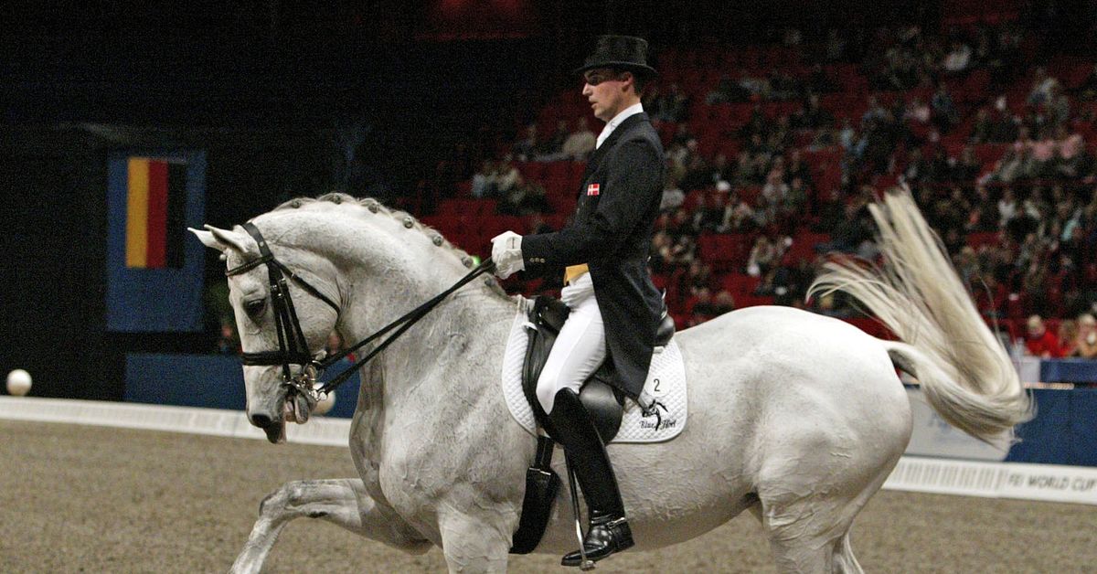 Dressage star accused of horse abuse Teller Report
