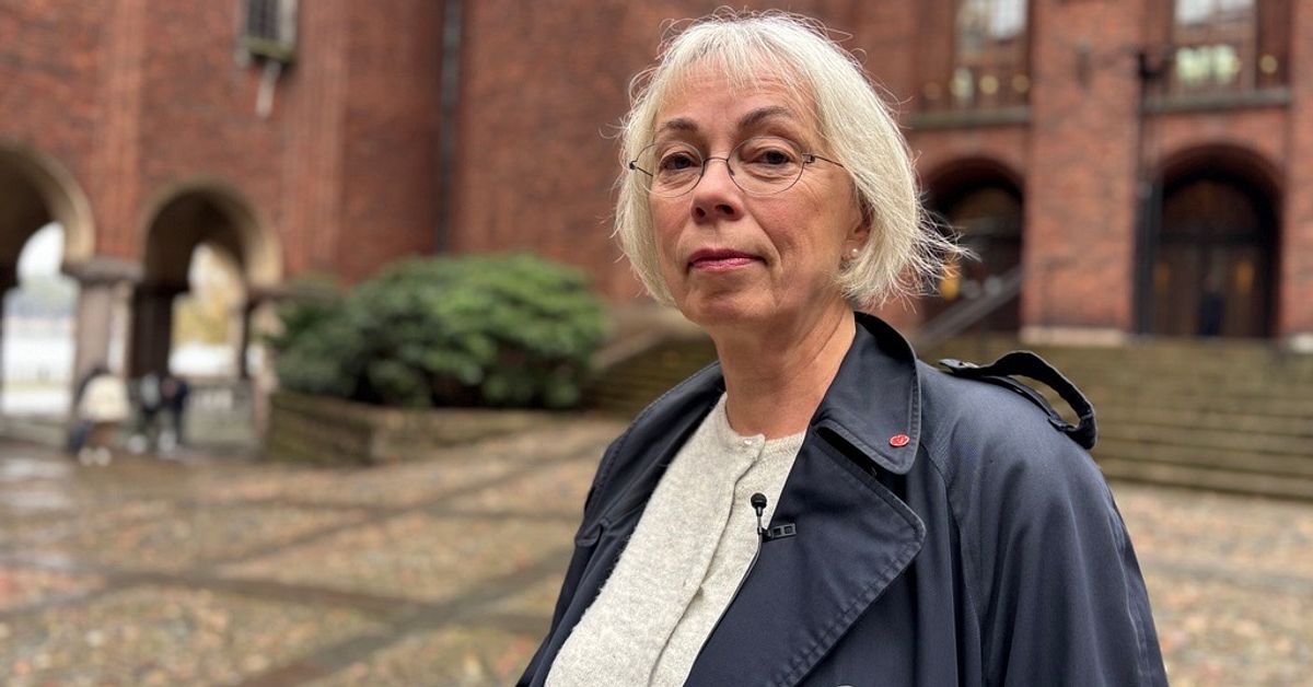 Kulturborgarrådet: ”Skönt att vi inte visste att kulturfestivalen var måltavla”