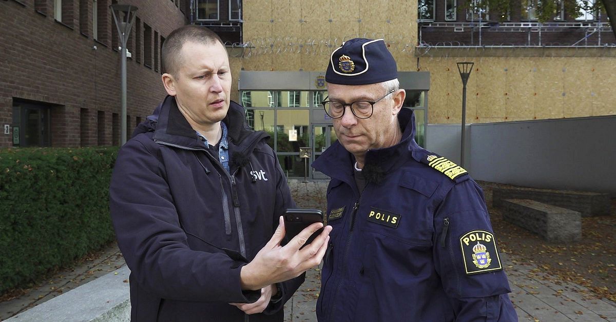 Polisen: De ligger ofta bakom hatet  mot politiker