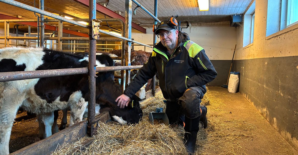 D&auml;rf&ouml;r &auml;r det brist p&aring; n&ouml;tk&ouml;tt i J&auml;mtlands l&auml;n