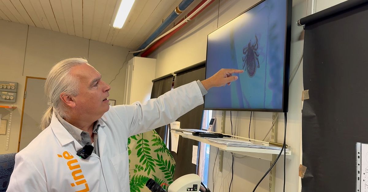 F&ouml;rsta f&auml;stingen redan i januari &ndash; b&auml;ddat f&ouml;r jobbigt f&auml;sting&aring;r